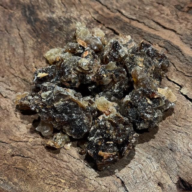Black Hojari Frankincense Resin Boswellia Sacra Oman