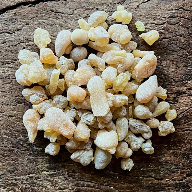 Yellow Hojari Frankincense Resin Boswellia Sacra Oman