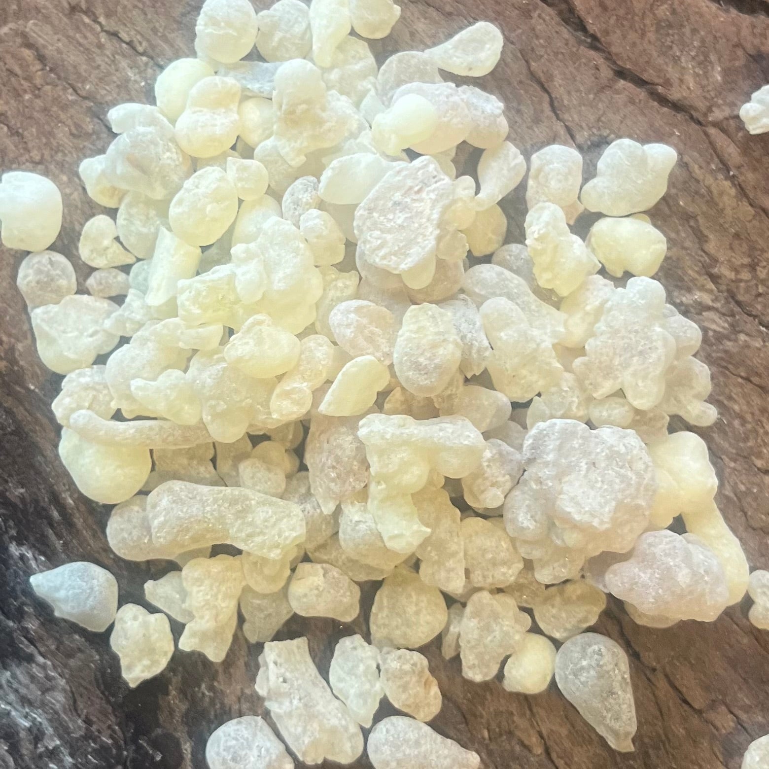 REGULAR White Hojari Frankincense Resin Boswellia Sacra Oman - sml tears