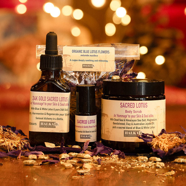 24K Gold SACRED LOTUS Body Love with Perfume Oil & Blue Lotus Tea Gentle Reset for 2026