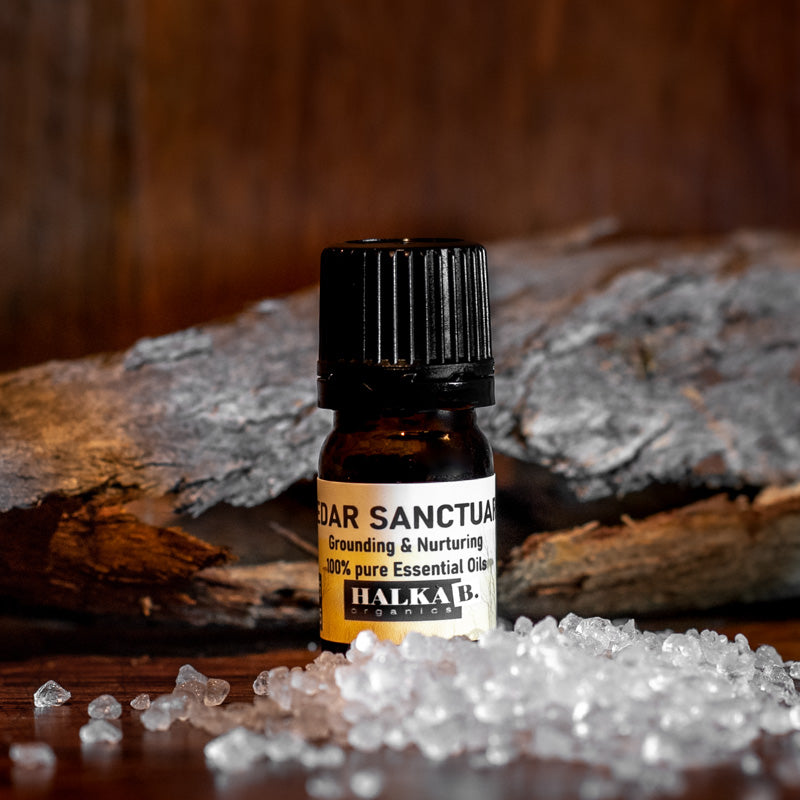 Cedar Sanctuary Essential Oil Blend