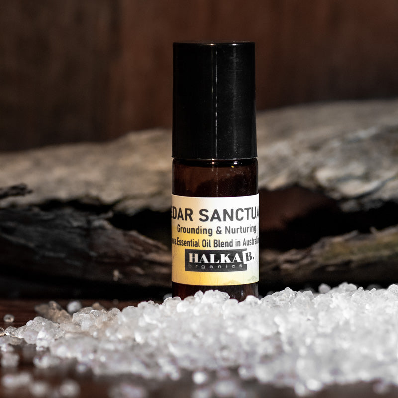 Cedar Sanctuary Roll On Essential Oil Blend