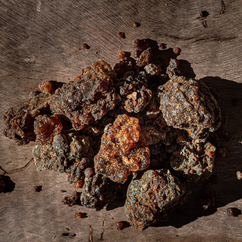 Myrrh Resin Commiphora Myrrha Yemen