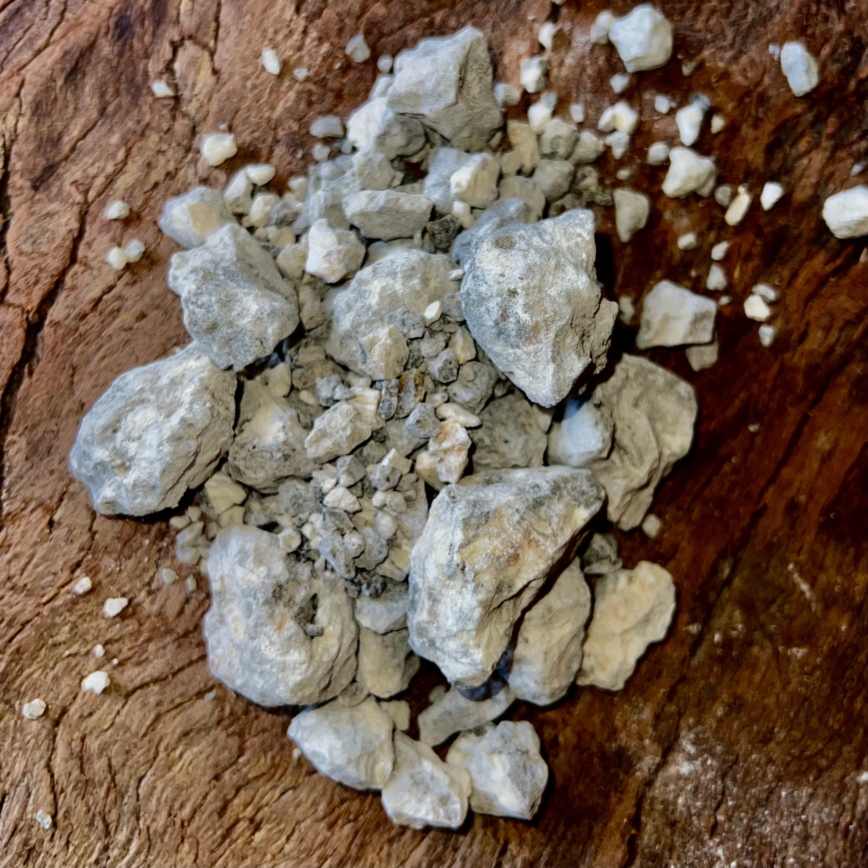 White Breu - The Brazilian Frankincense