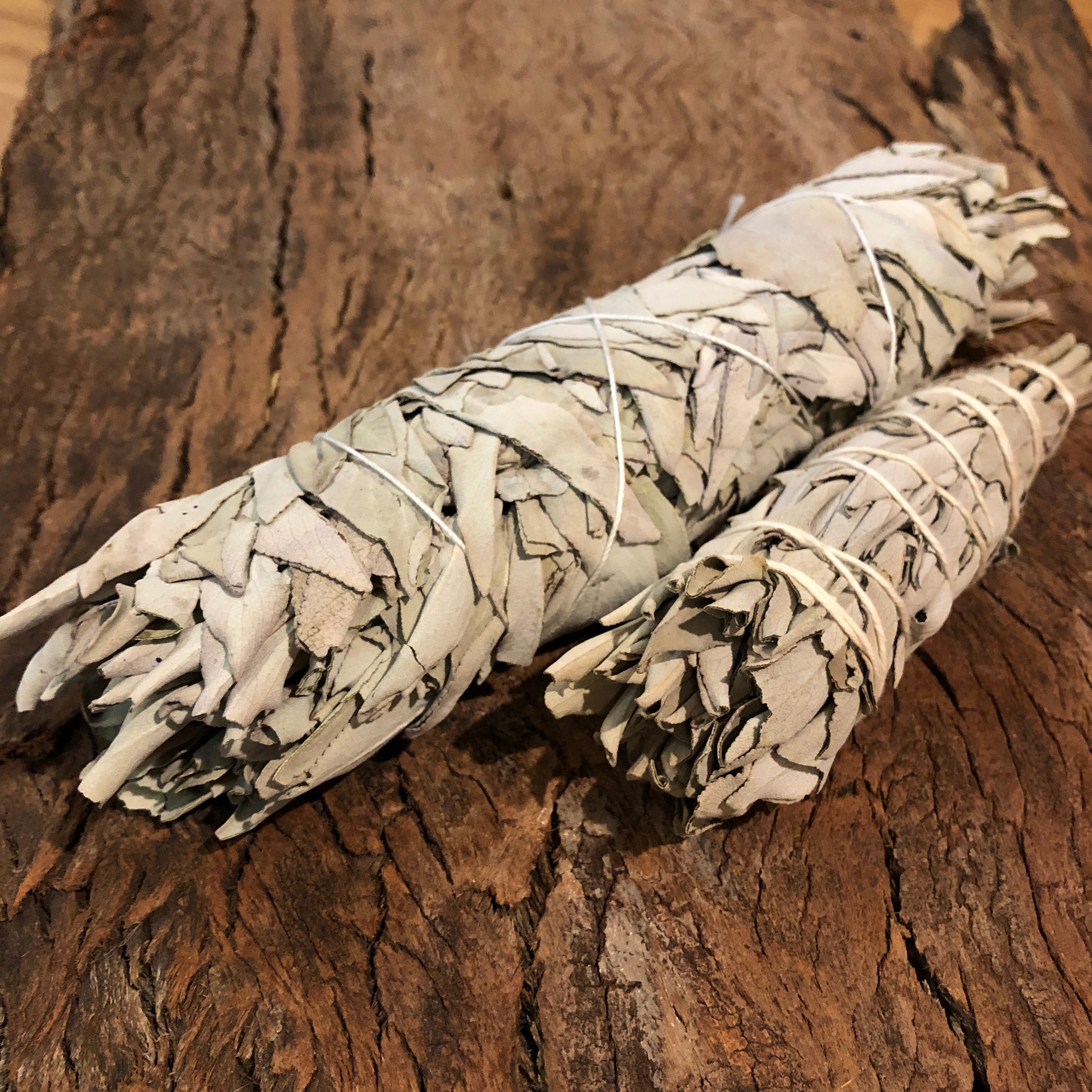 Organic White Sage Smudge Stick California