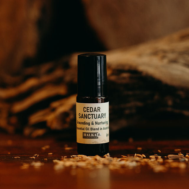 Cedar Sanctuary Roll On Essential Oil Blend