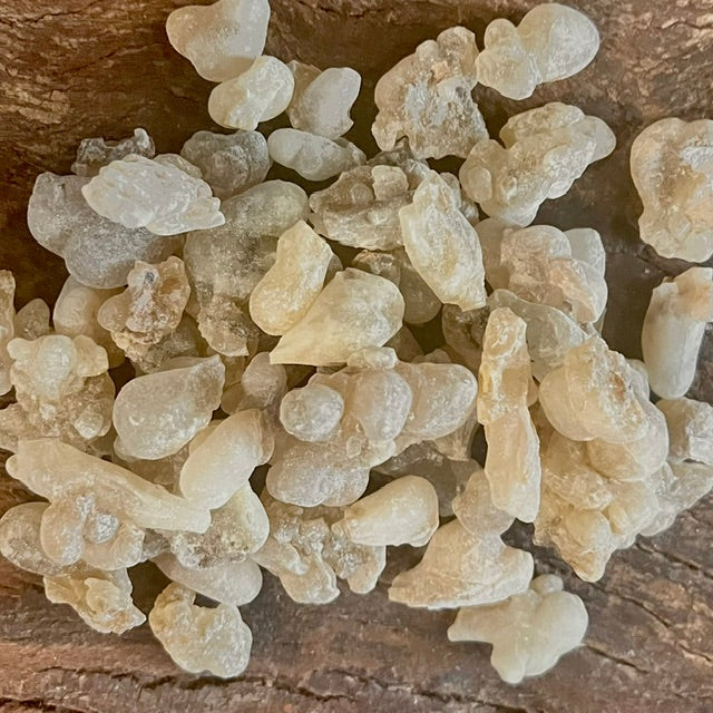 REGULAR White Hojari Frankincense Resin Boswellia Sacra Oman