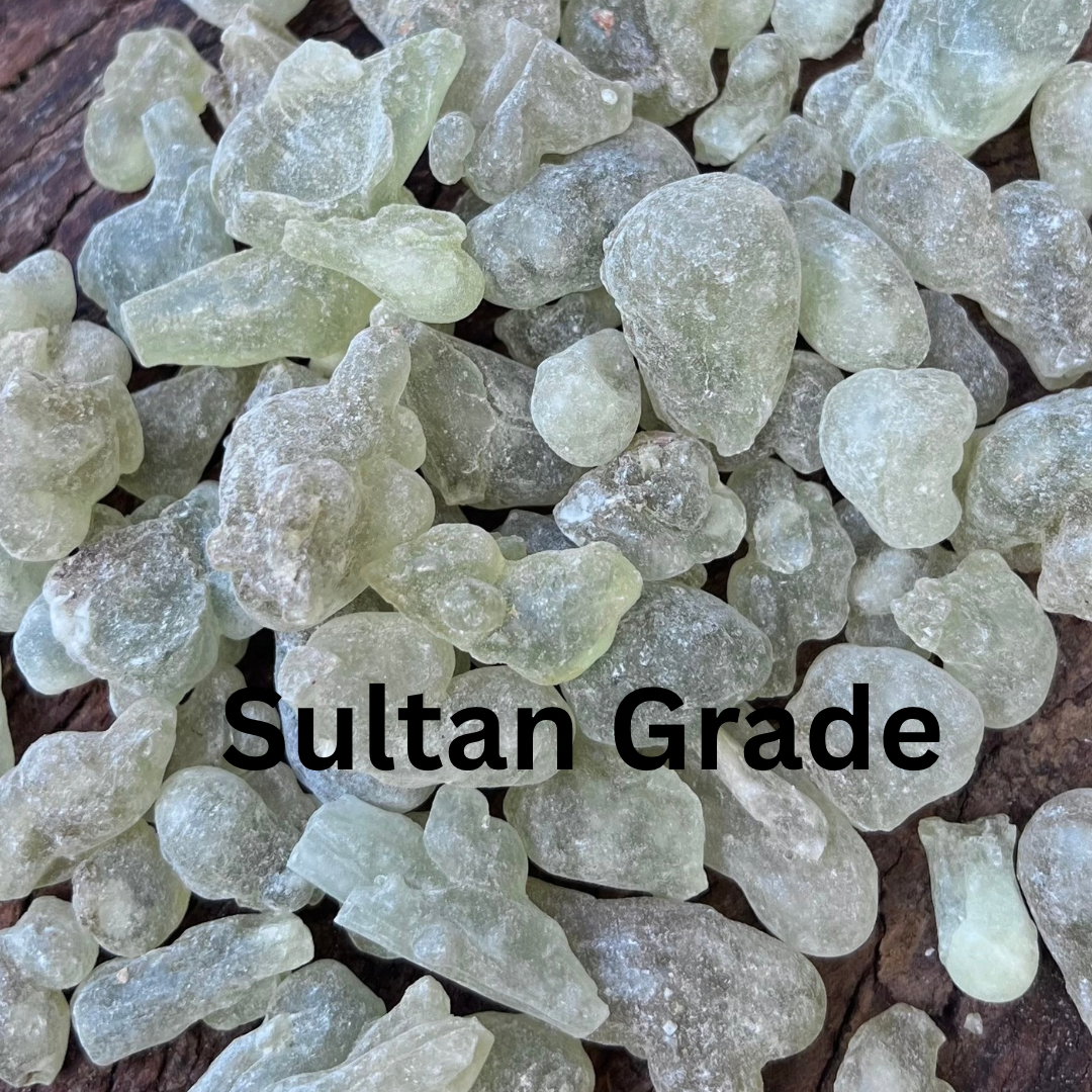 Sultan & Royal Green Hojari Frankincense Gum Boswellia Sacra Oman
